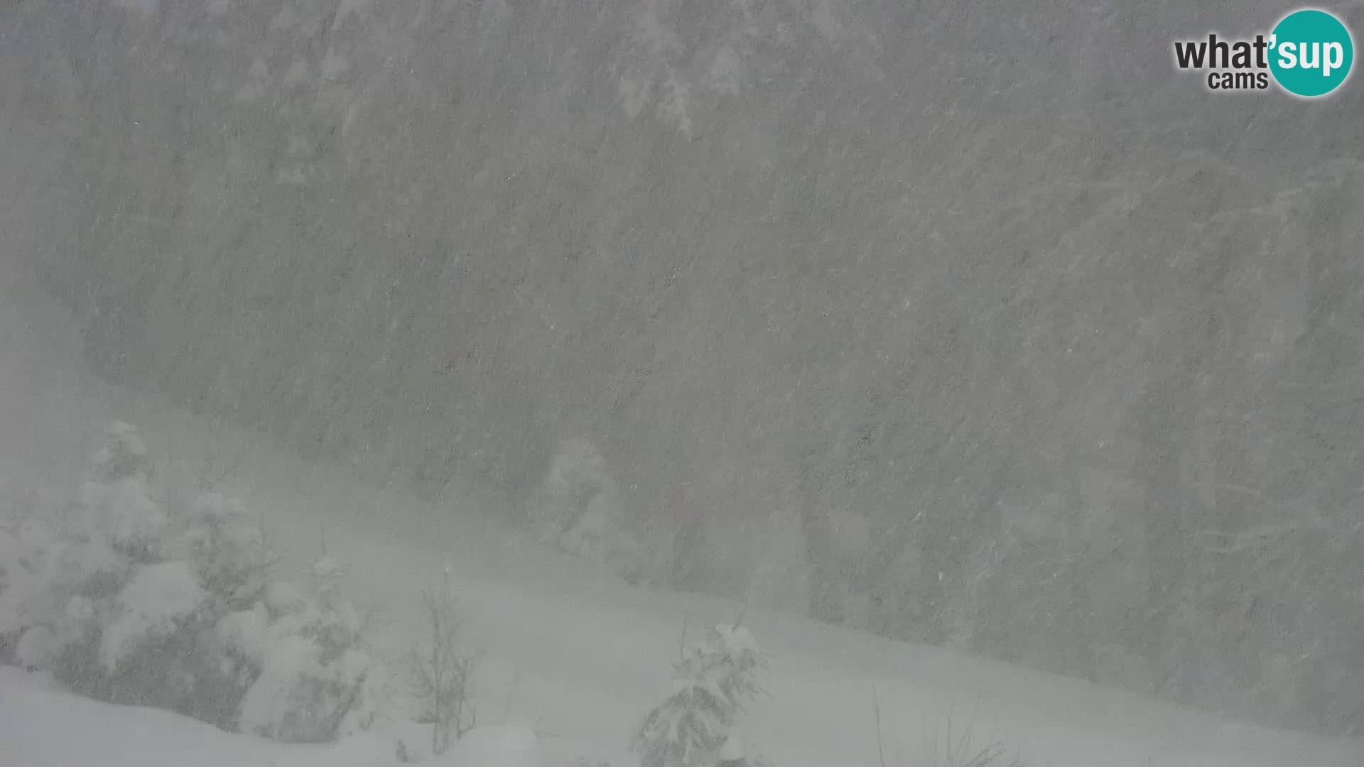 Livecam Rogla apartments Dandi – Jurgovo