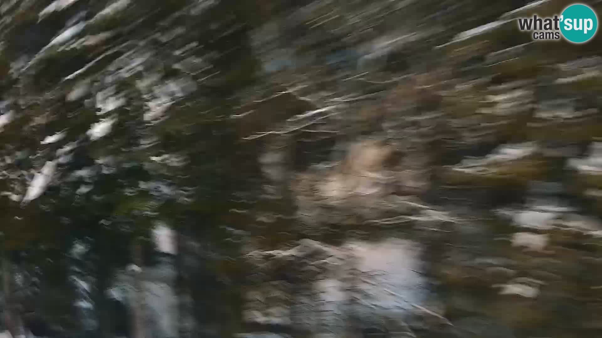 Webcam Rogla Wohnungen Dandi – Jurgovo