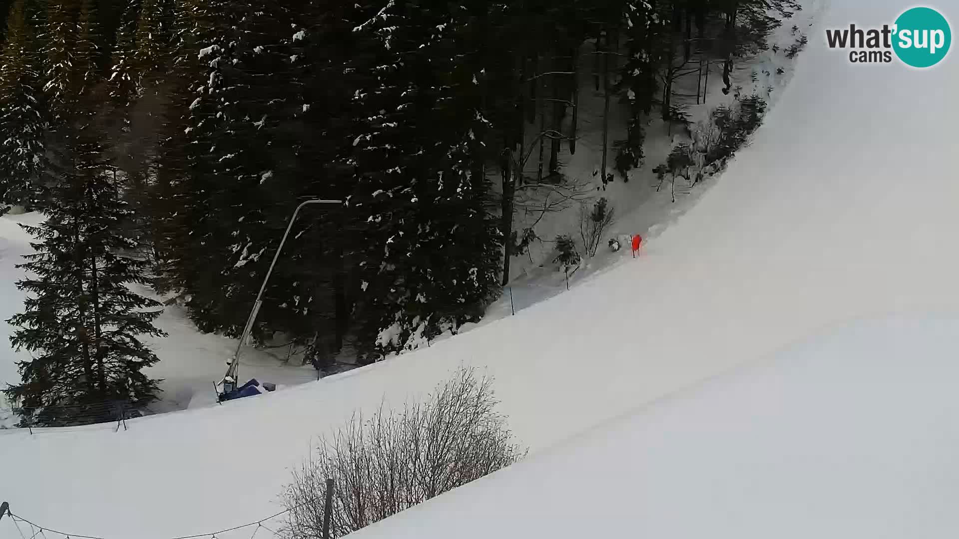 Live Rogla appartements Dandi – Jurgovo