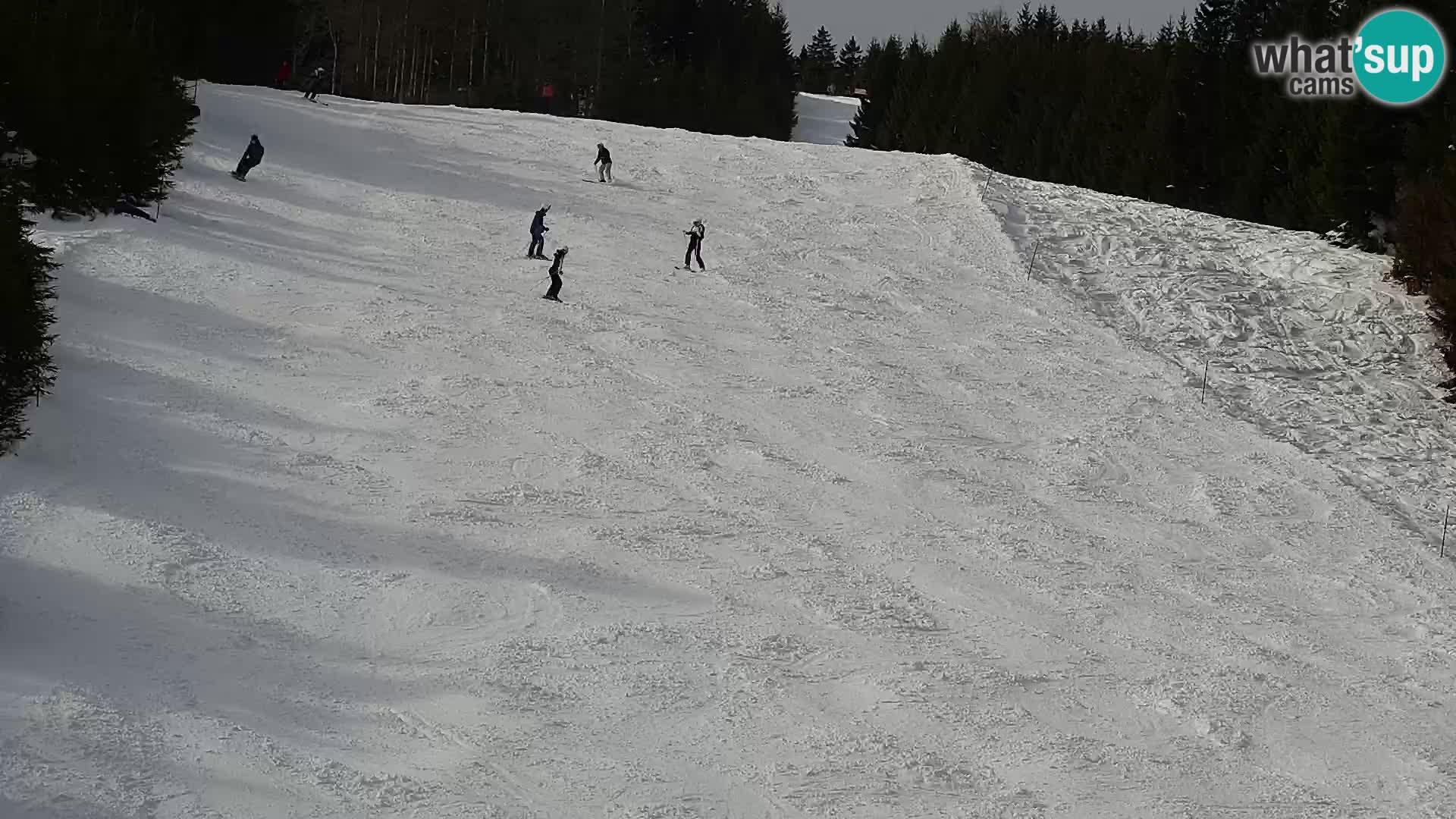 Livecam Rogla apartments Dandi – Jurgovo