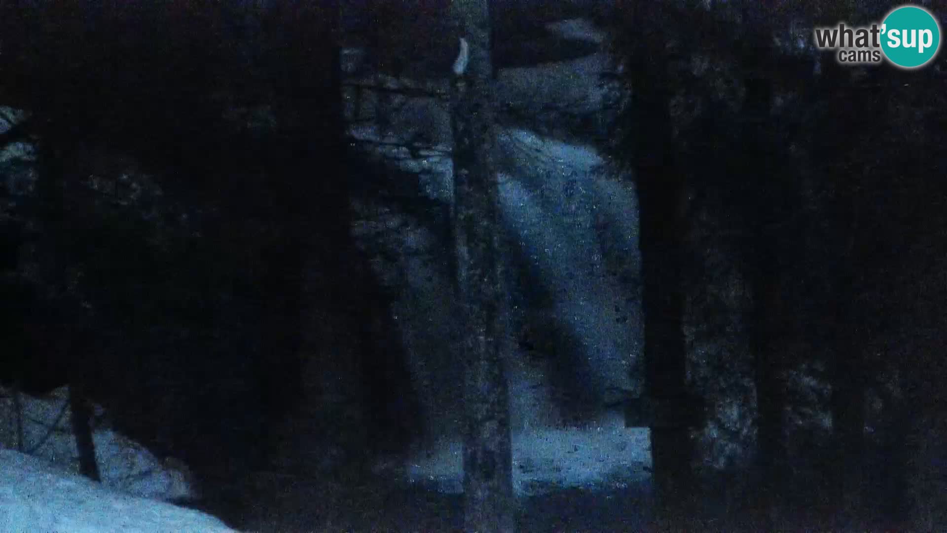 Livecam Rogla apartments Dandi – Jurgovo