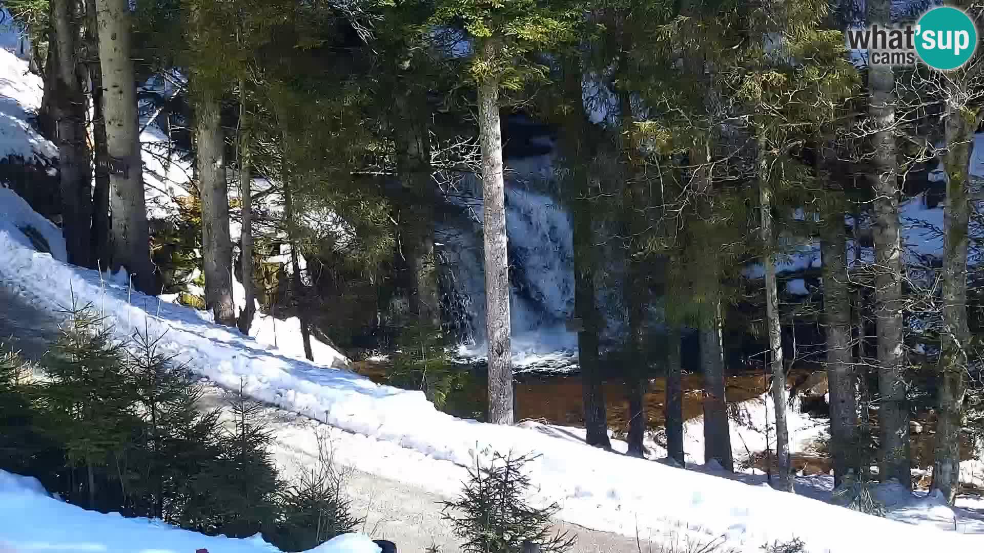 Web kamera Rogla apartmani Dandi – Jurgovo