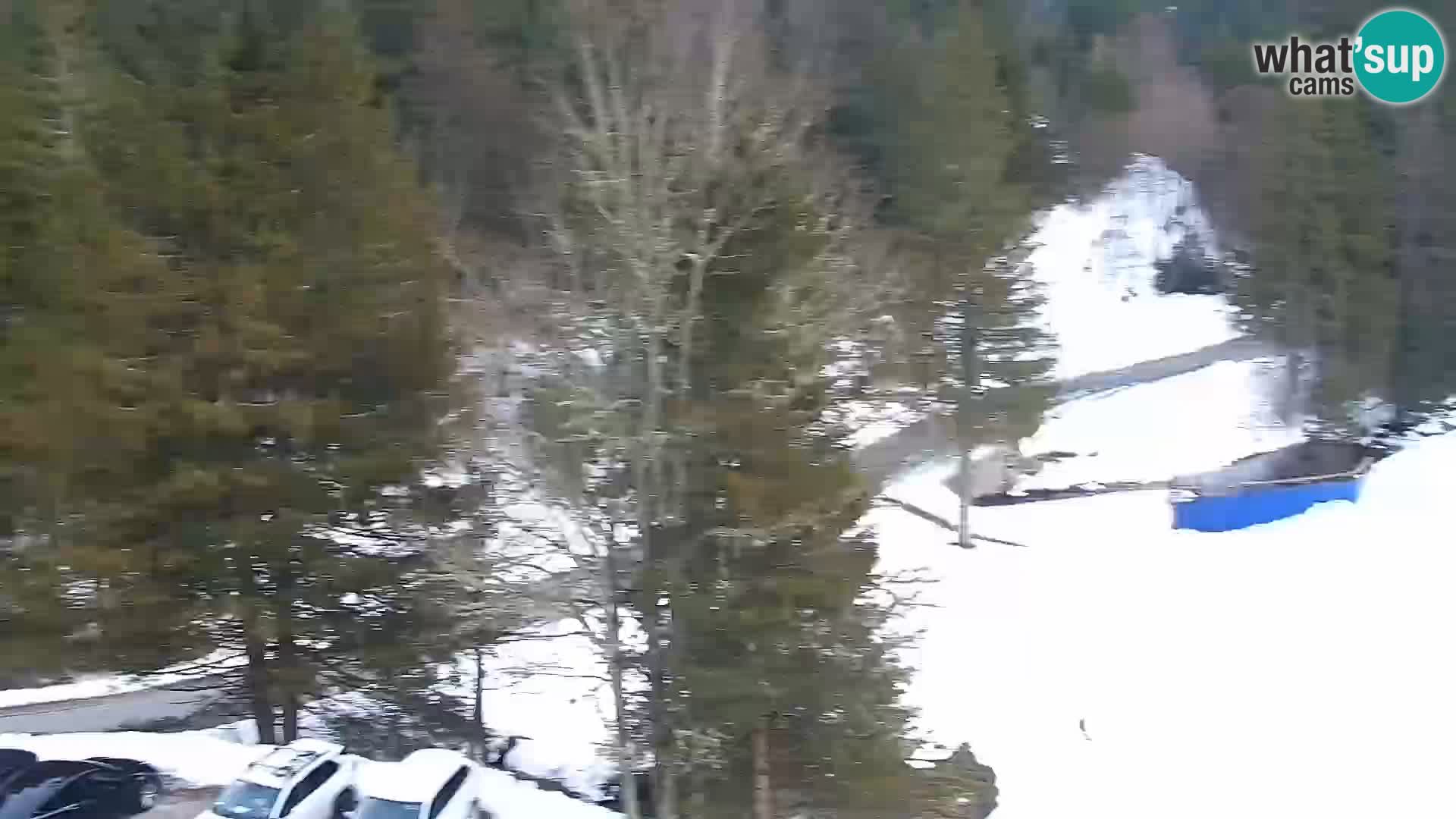 Web kamera Rogla apartmani Dandi – Jurgovo