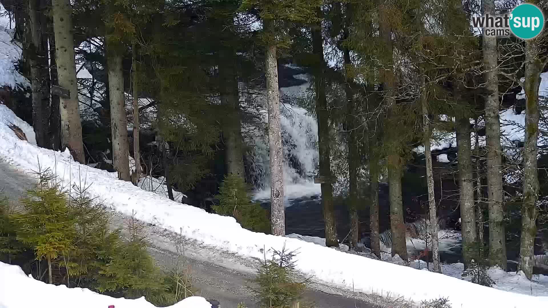 Spletna kamera Rogla apartmaji Dandi – Jurgovo