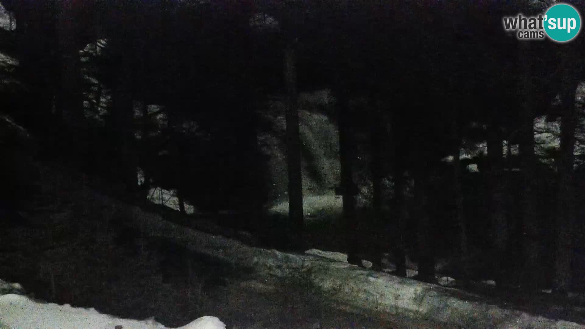 Webcam Rogla Wohnungen Dandi – Jurgovo