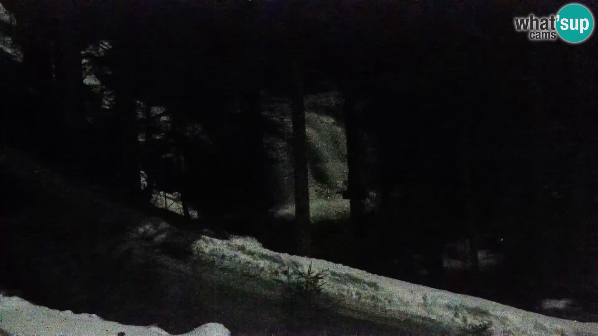 Camera en vivo Rogla appartamentos Dandi – Jurgovo