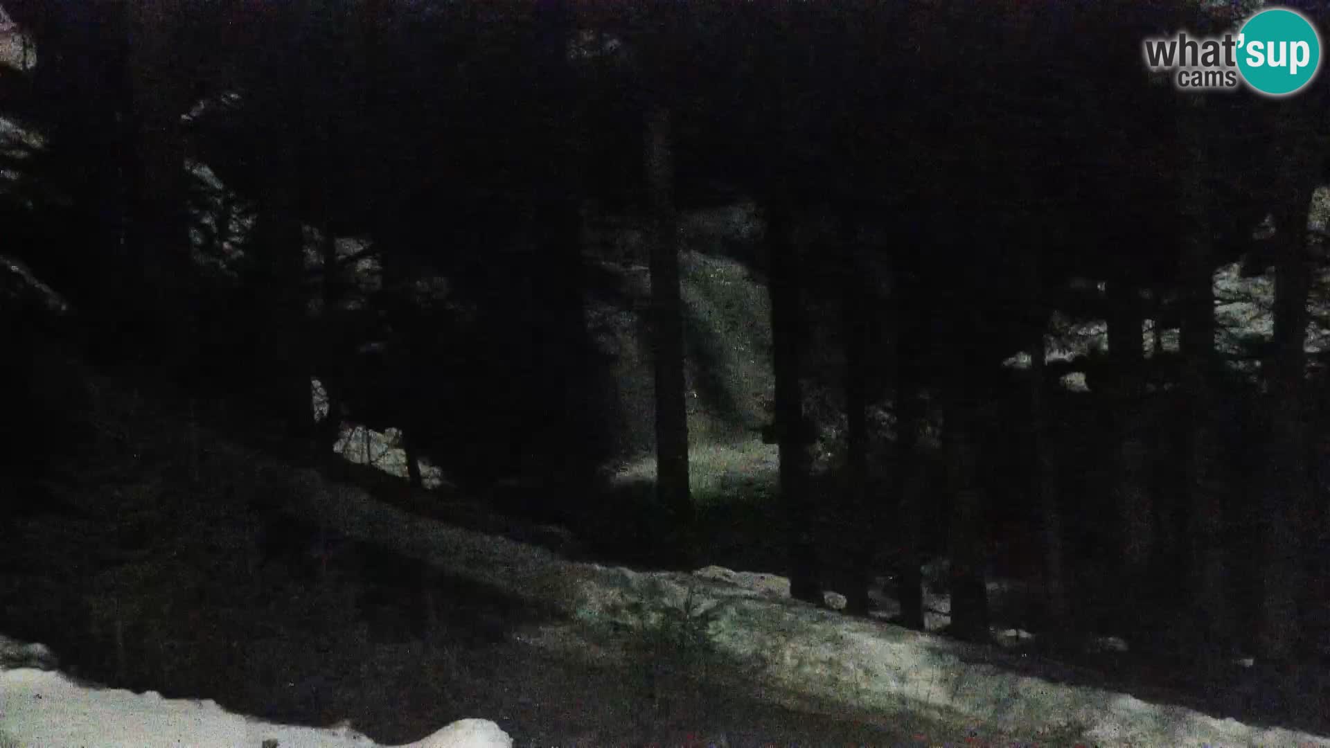 Webcam Rogla Wohnungen Dandi – Jurgovo