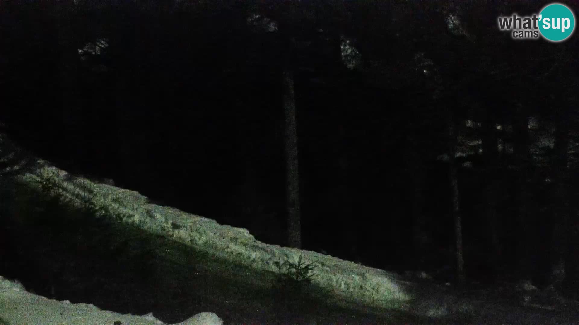 Camera en vivo Rogla appartamentos Dandi – Jurgovo