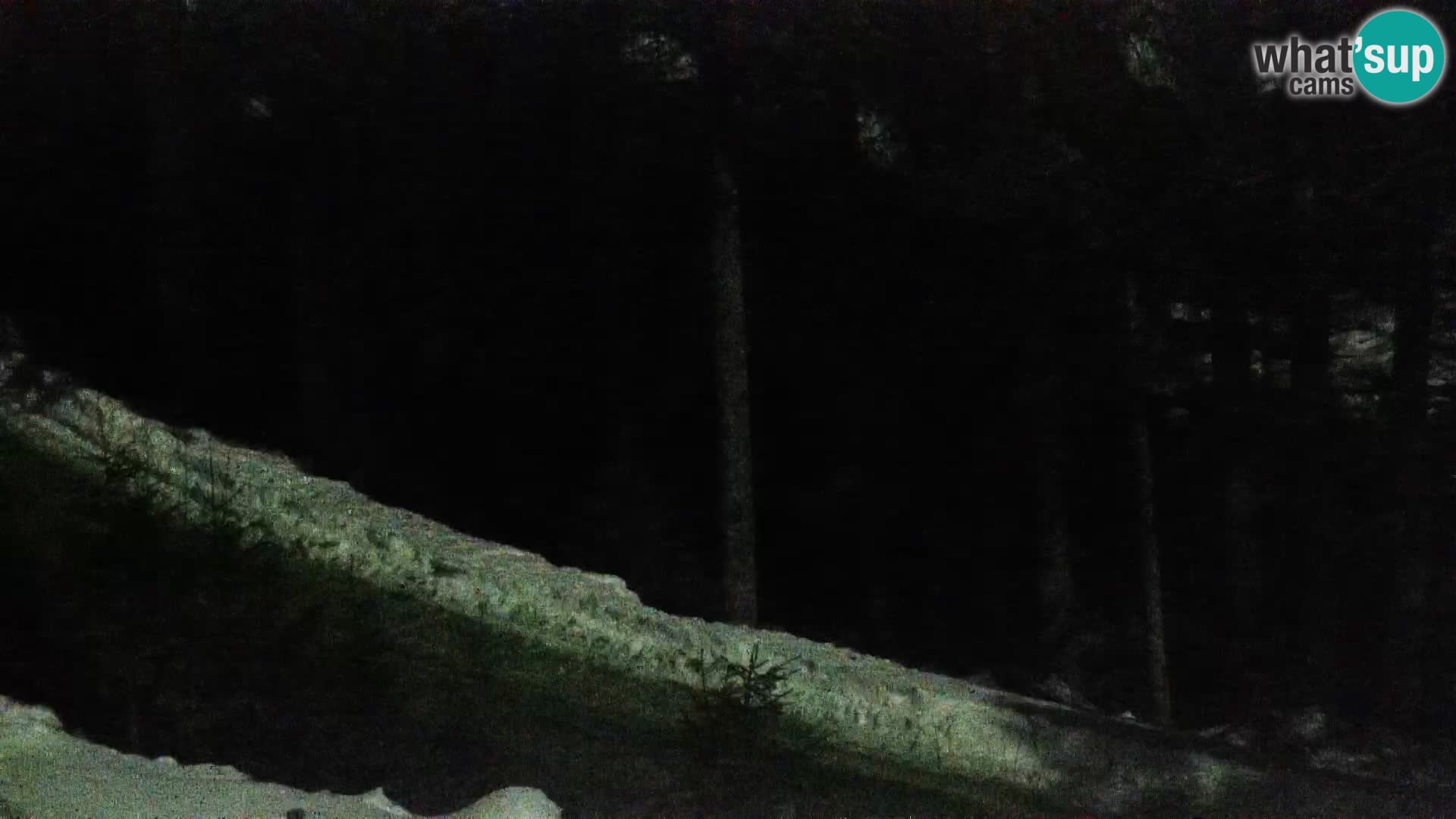 Camera en vivo Rogla appartamentos Dandi – Jurgovo