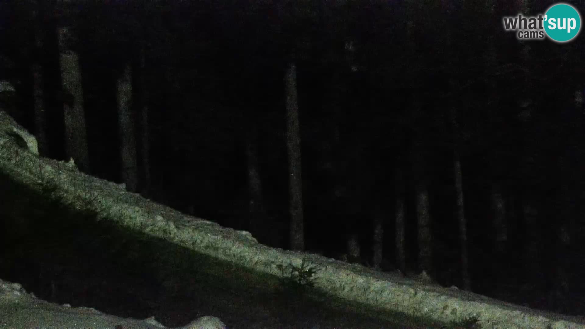 Webcam Rogla Wohnungen Dandi – Jurgovo