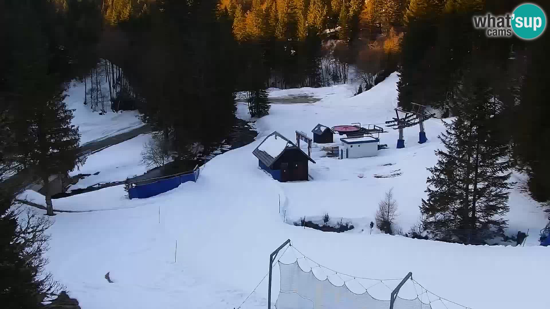 Spletna kamera Rogla apartmaji Dandi – Jurgovo