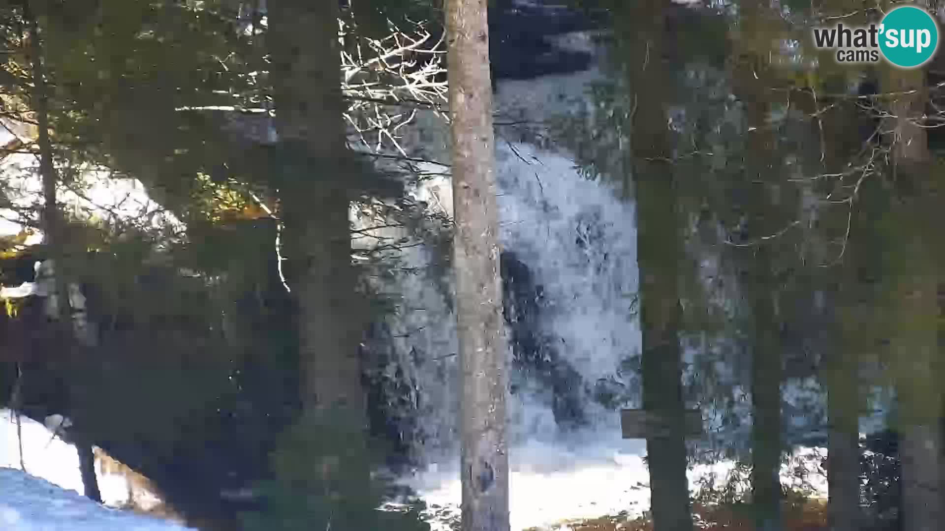 Web kamera Rogla apartmani Dandi – Jurgovo