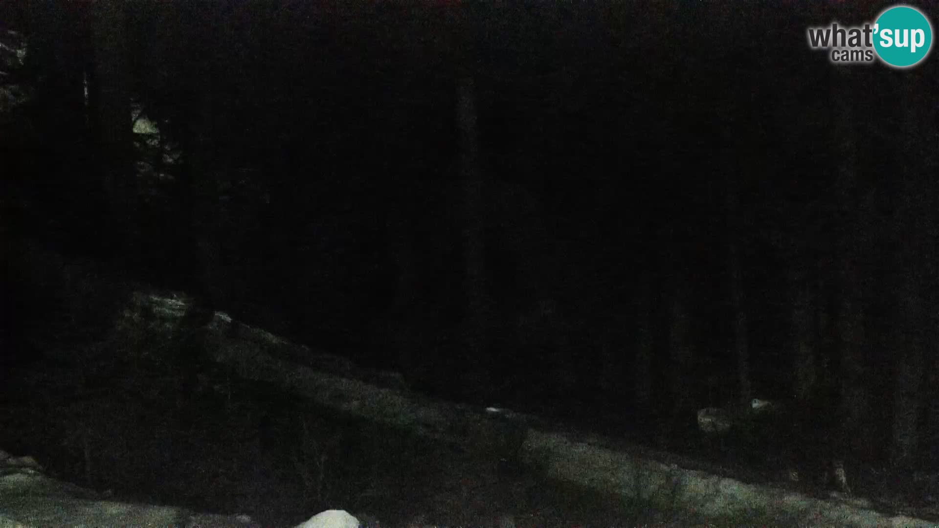 Live webcam Rogla appartamenti Dandi – Jurgovo