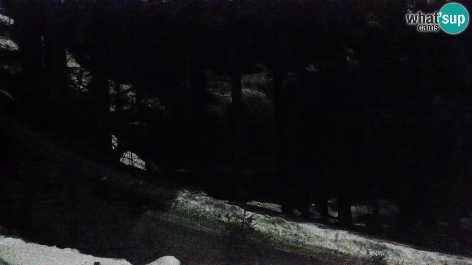 Camera en vivo Rogla appartamentos Dandi – Jurgovo