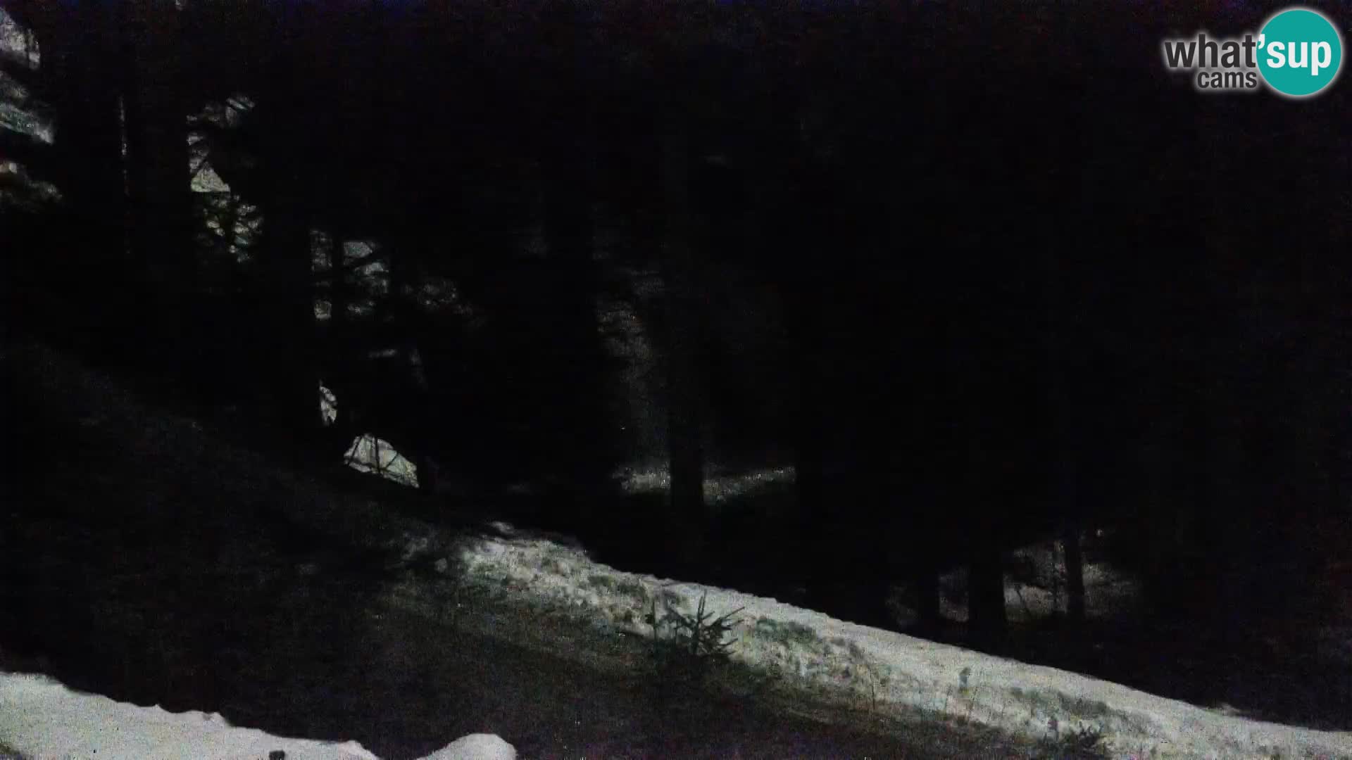 Spletna kamera Rogla apartmaji Dandi – Jurgovo