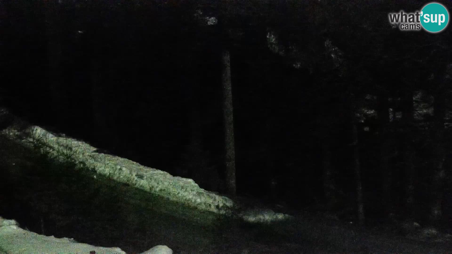 Camera en vivo Rogla appartamentos Dandi – Jurgovo