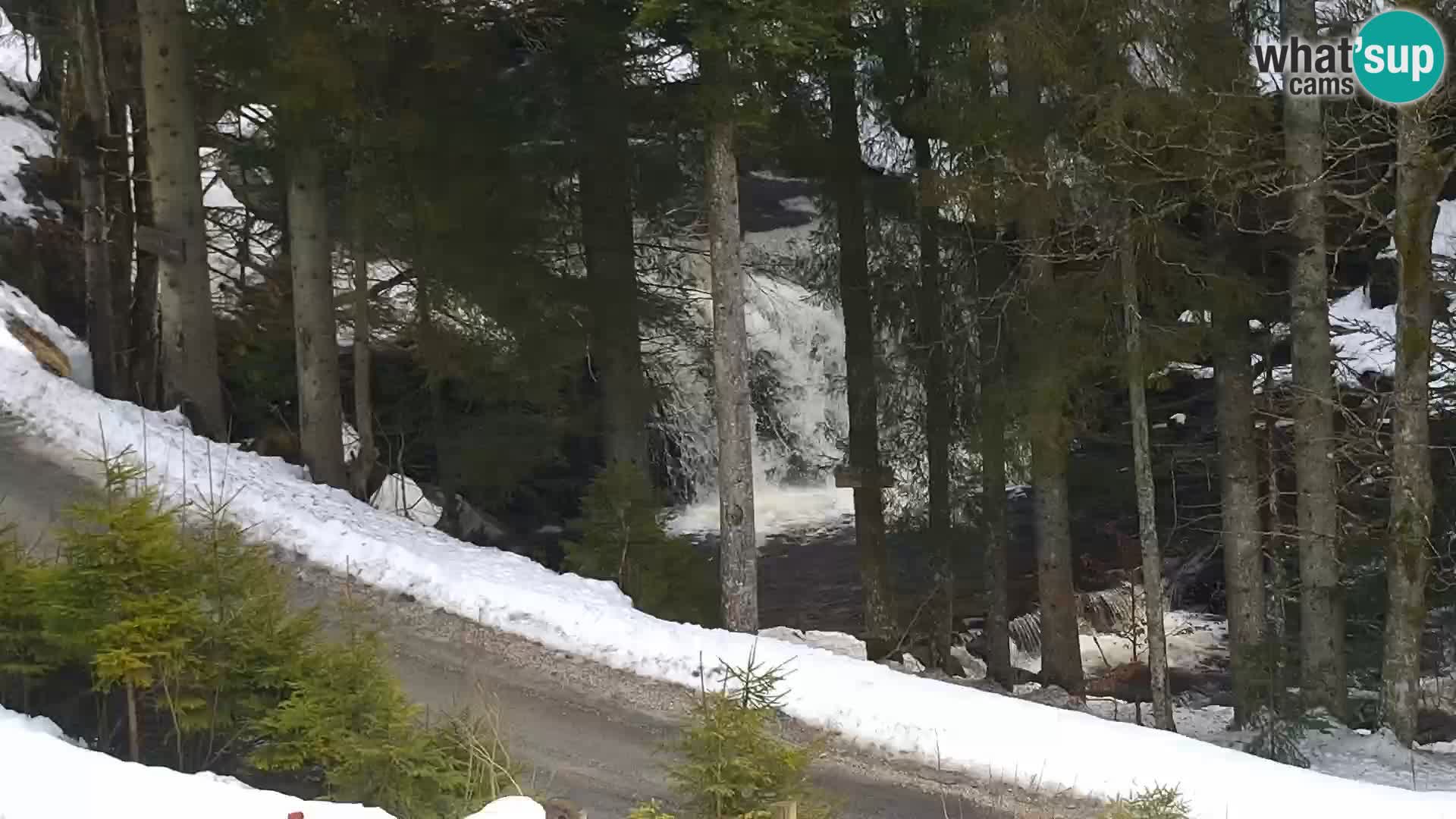 Live webcam Rogla appartamenti Dandi – Jurgovo