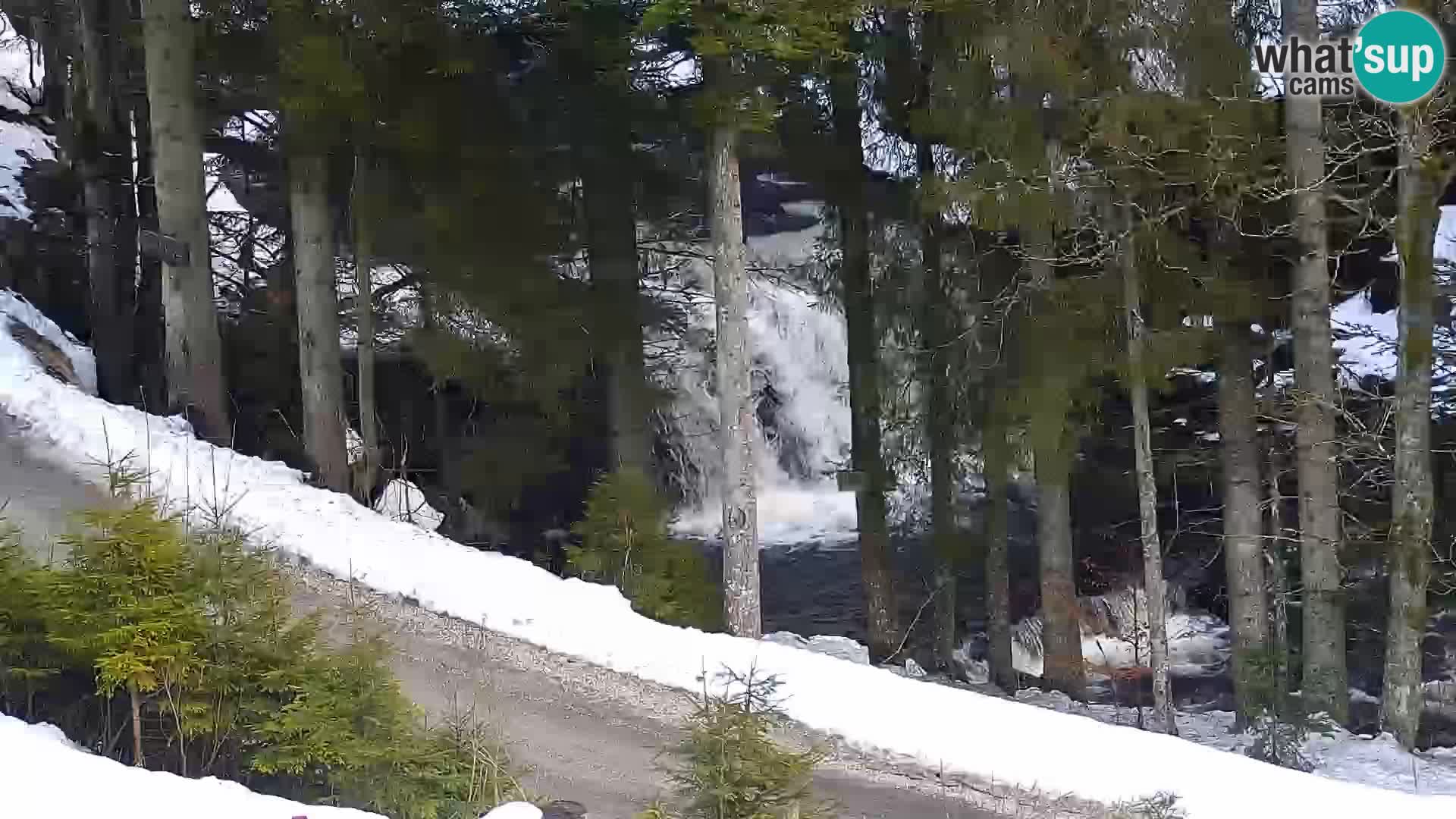 Livecam Rogla apartments Dandi – Jurgovo