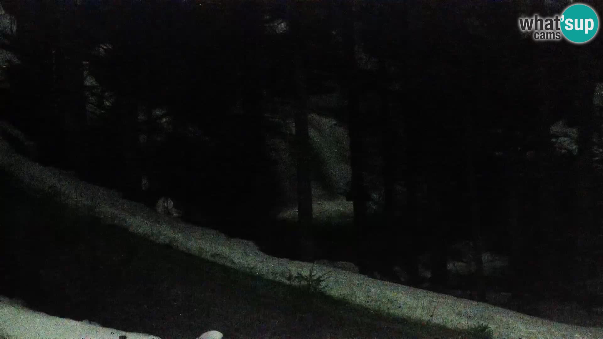 Webcam Rogla Wohnungen Dandi – Jurgovo