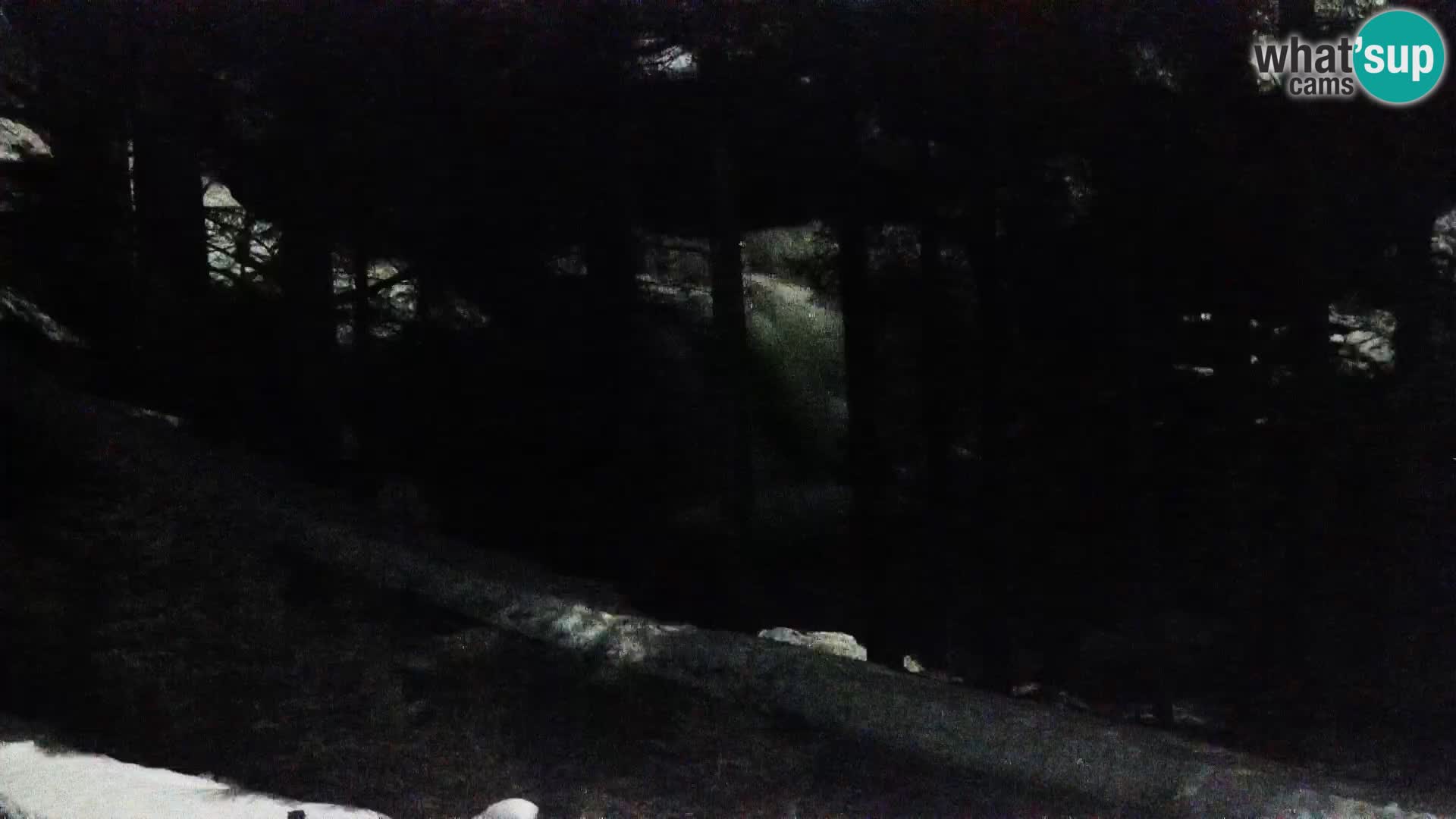 Webcam Rogla Wohnungen Dandi – Jurgovo