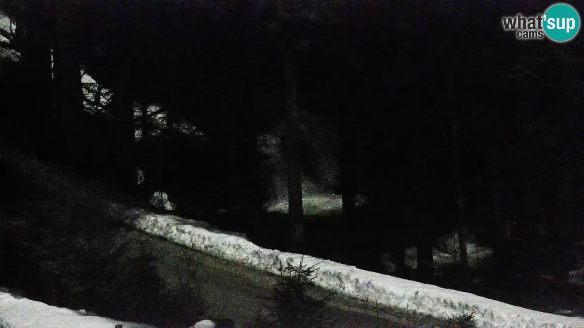 Webcam Rogla Wohnungen Dandi – Jurgovo