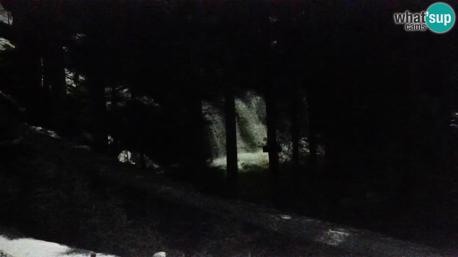 Spletna kamera Rogla apartmaji Dandi – Jurgovo