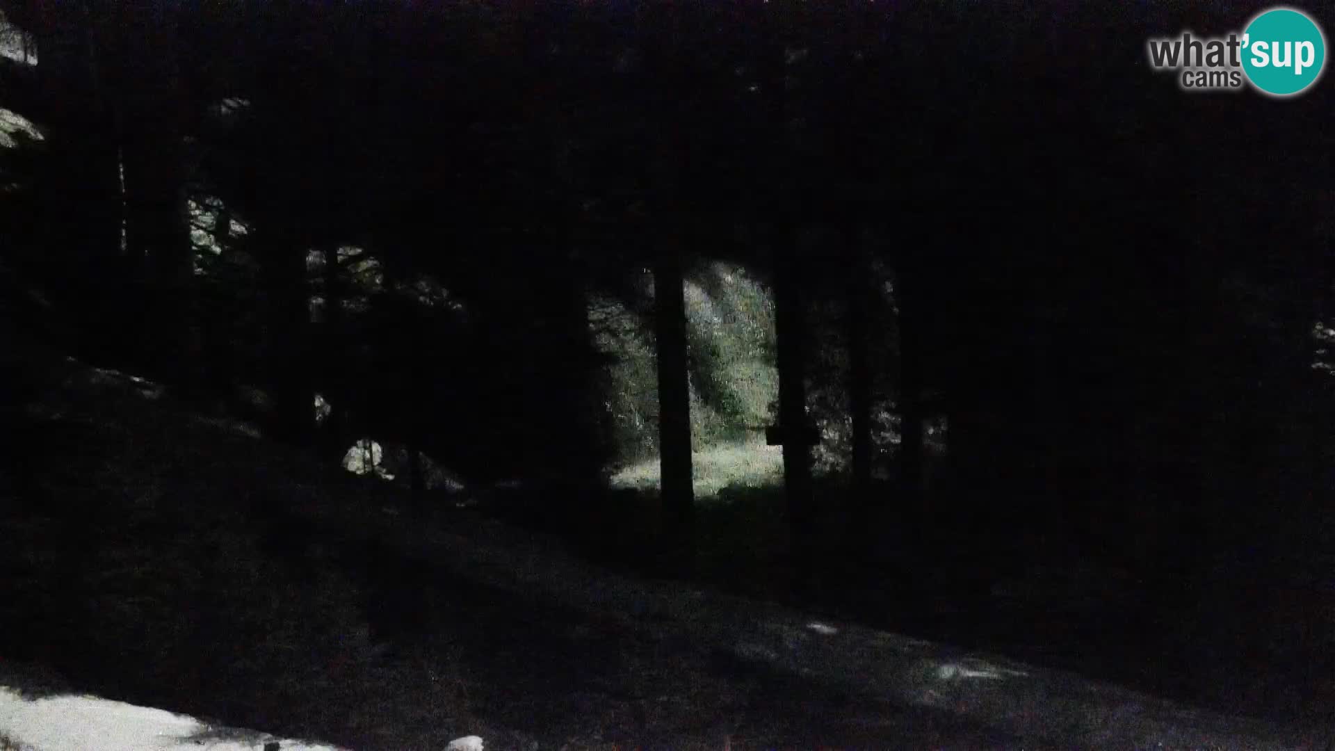 Spletna kamera Rogla apartmaji Dandi – Jurgovo