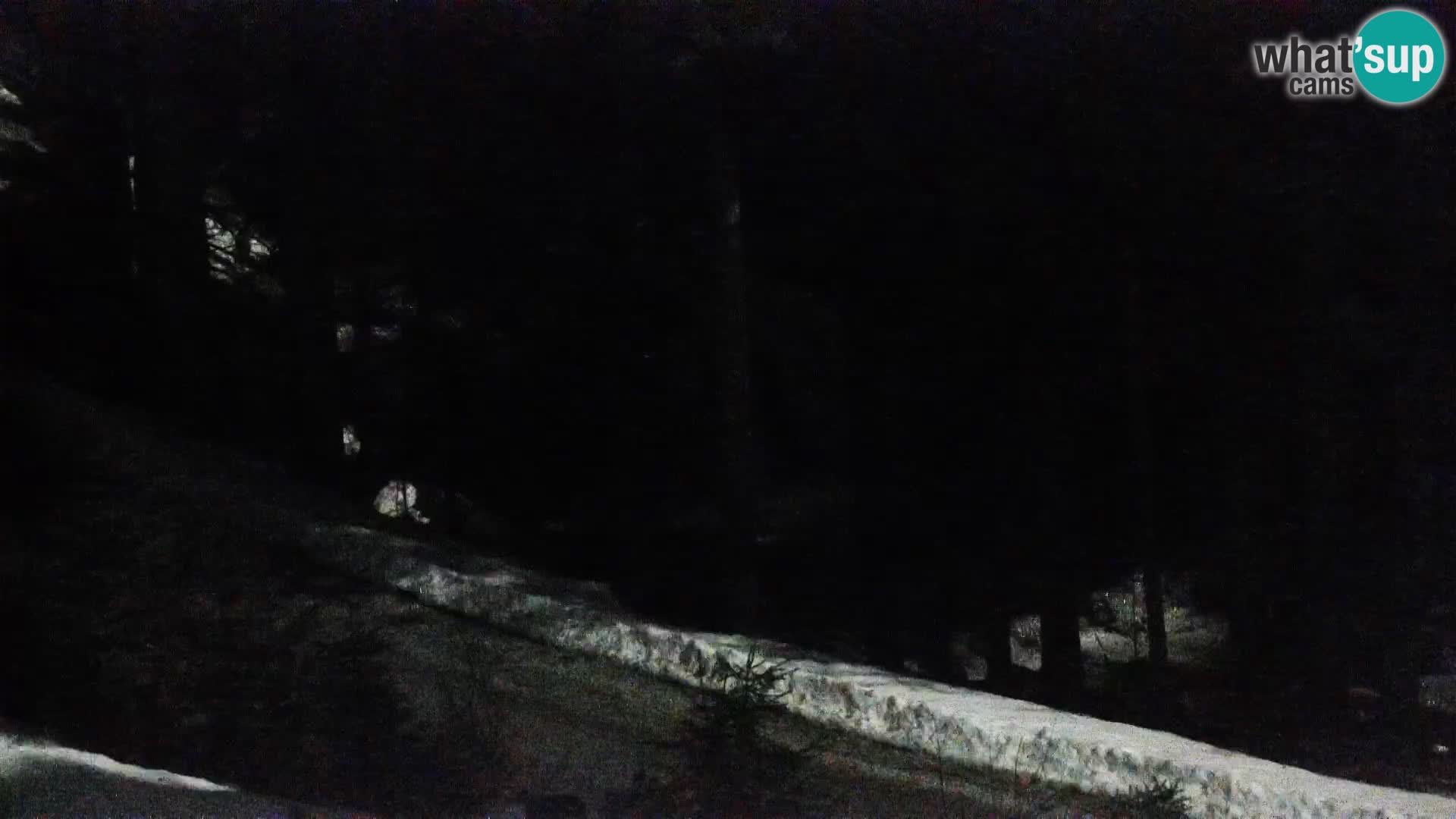 Spletna kamera Rogla apartmaji Dandi – Jurgovo