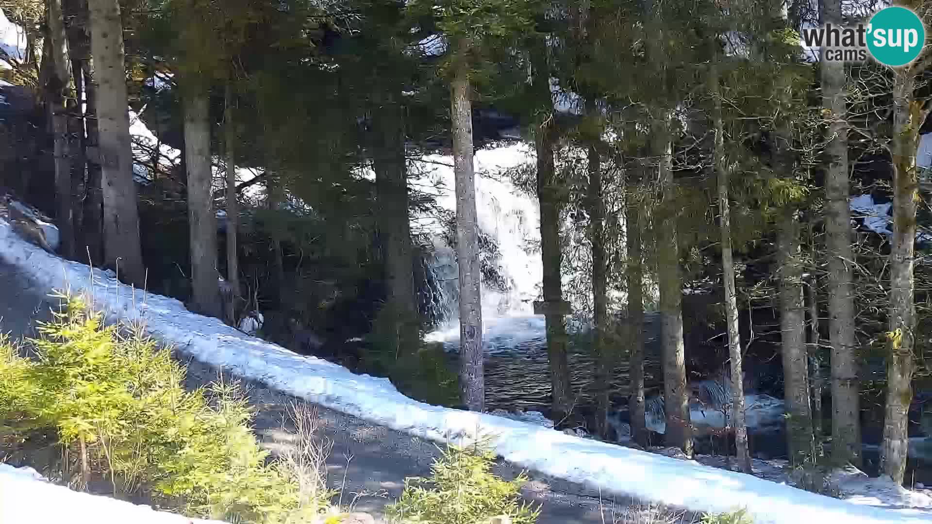 Live Rogla appartements Dandi – Jurgovo