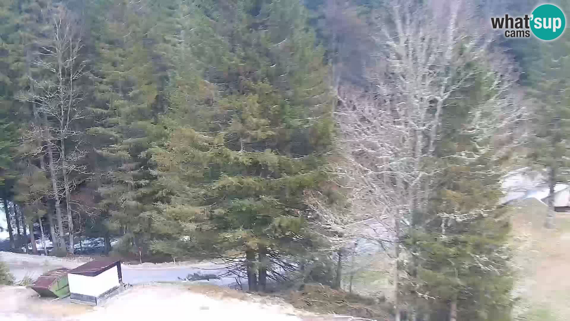 Webcam Rogla Wohnungen Dandi – Jurgovo