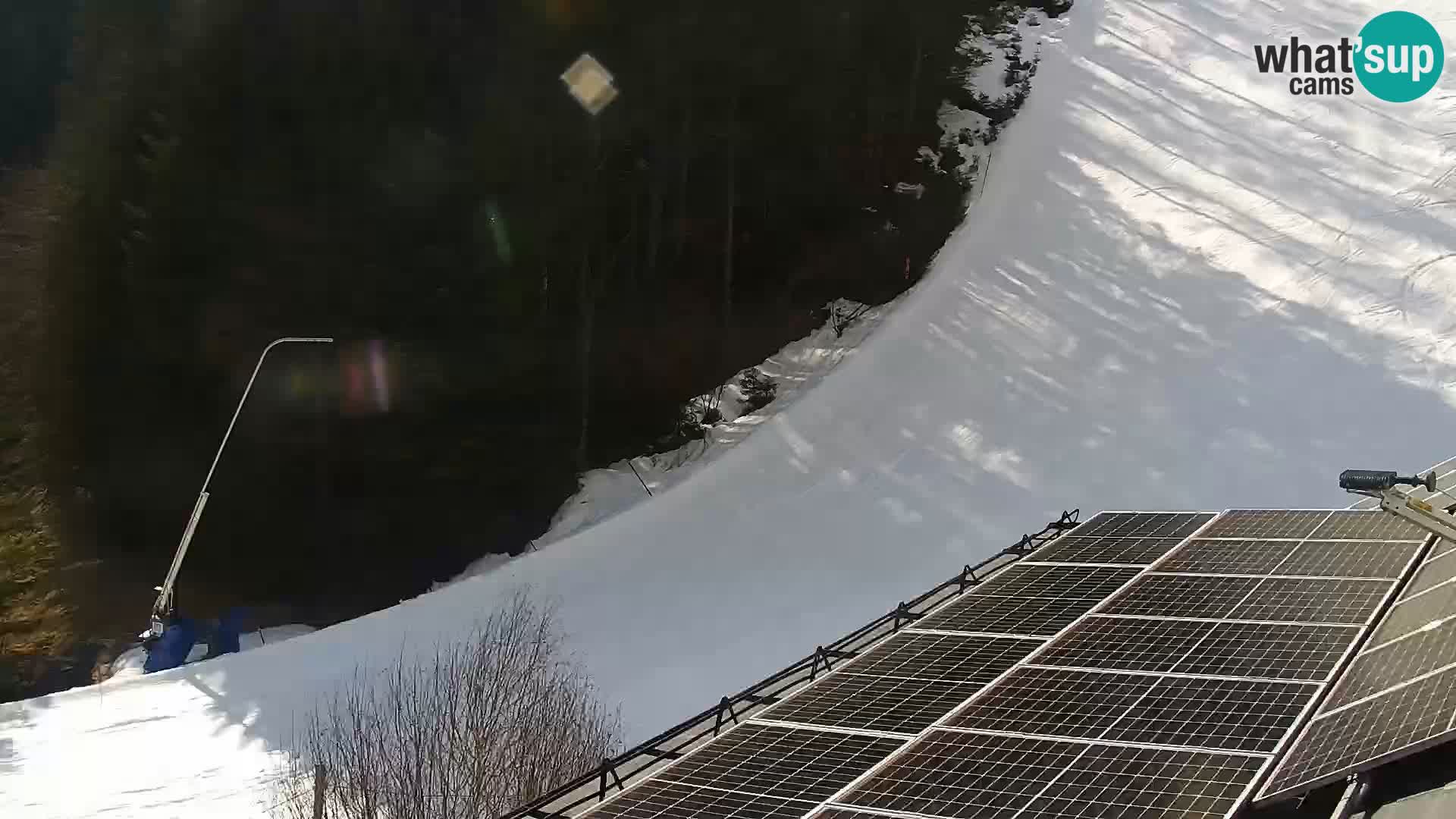 Web kamera Rogla apartmani Dandi – Jurgovo