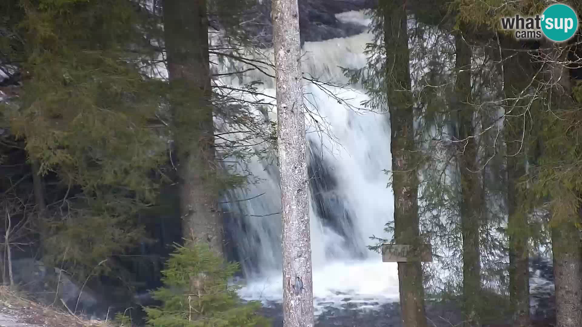 Live Rogla appartements Dandi – Jurgovo