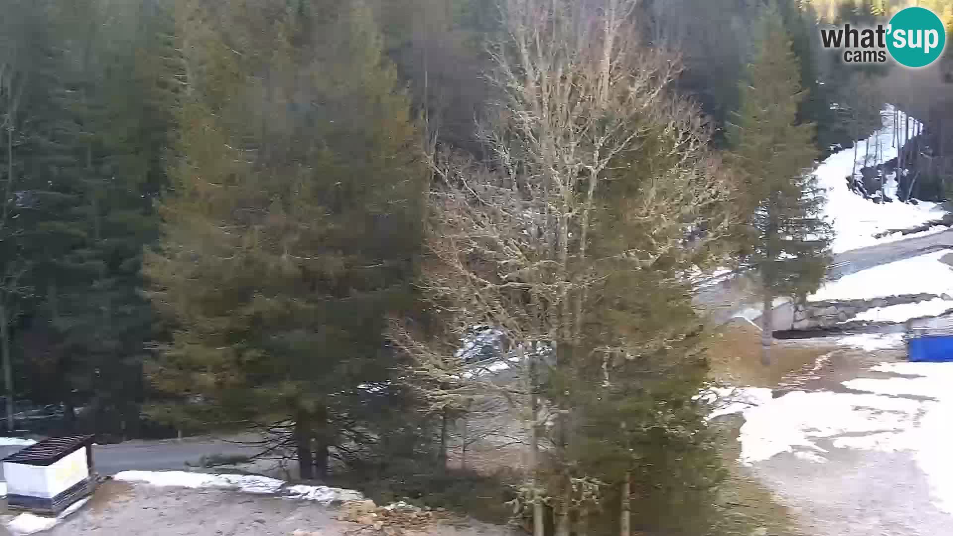 Live Rogla appartements Dandi – Jurgovo