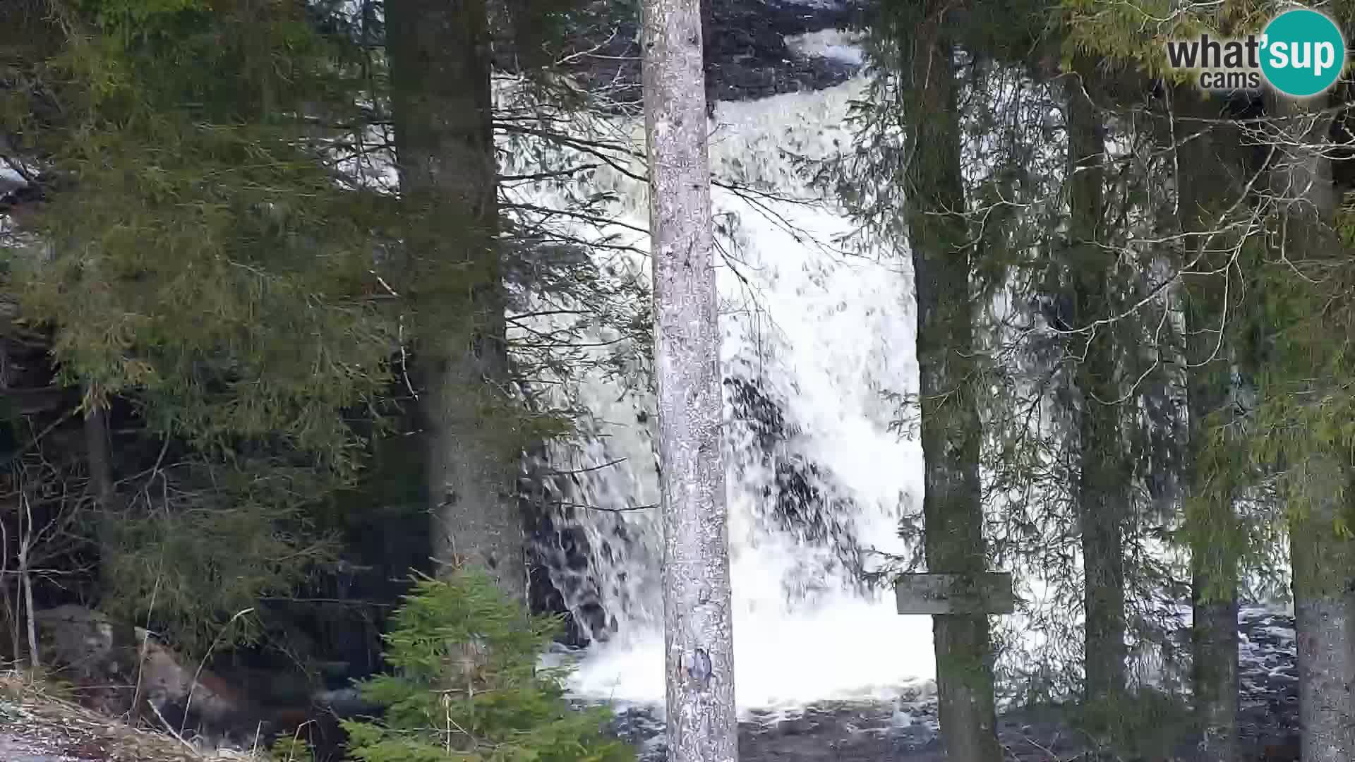 Spletna kamera Rogla apartmaji Dandi – Jurgovo