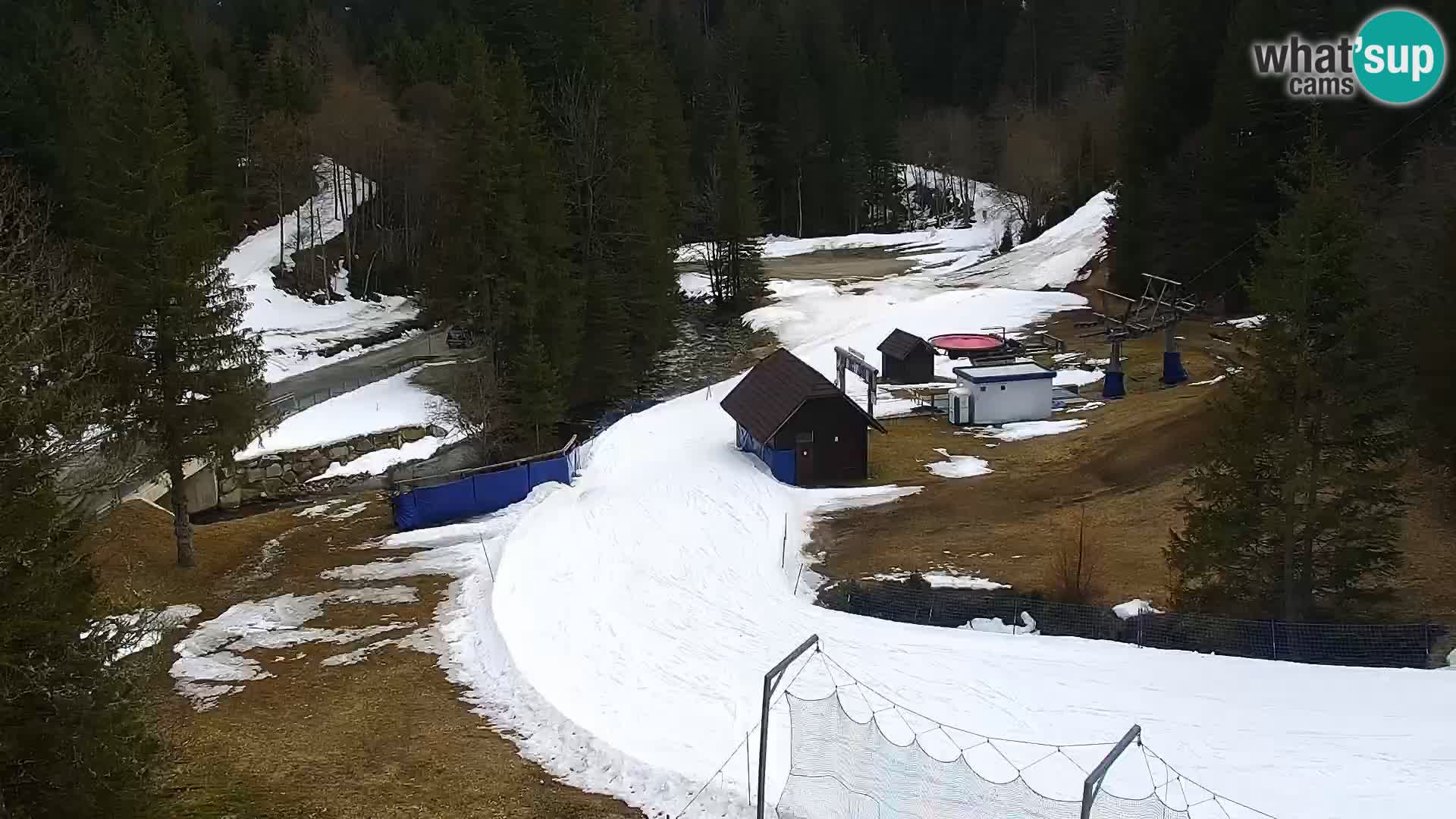 Spletna kamera Rogla apartmaji Dandi – Jurgovo