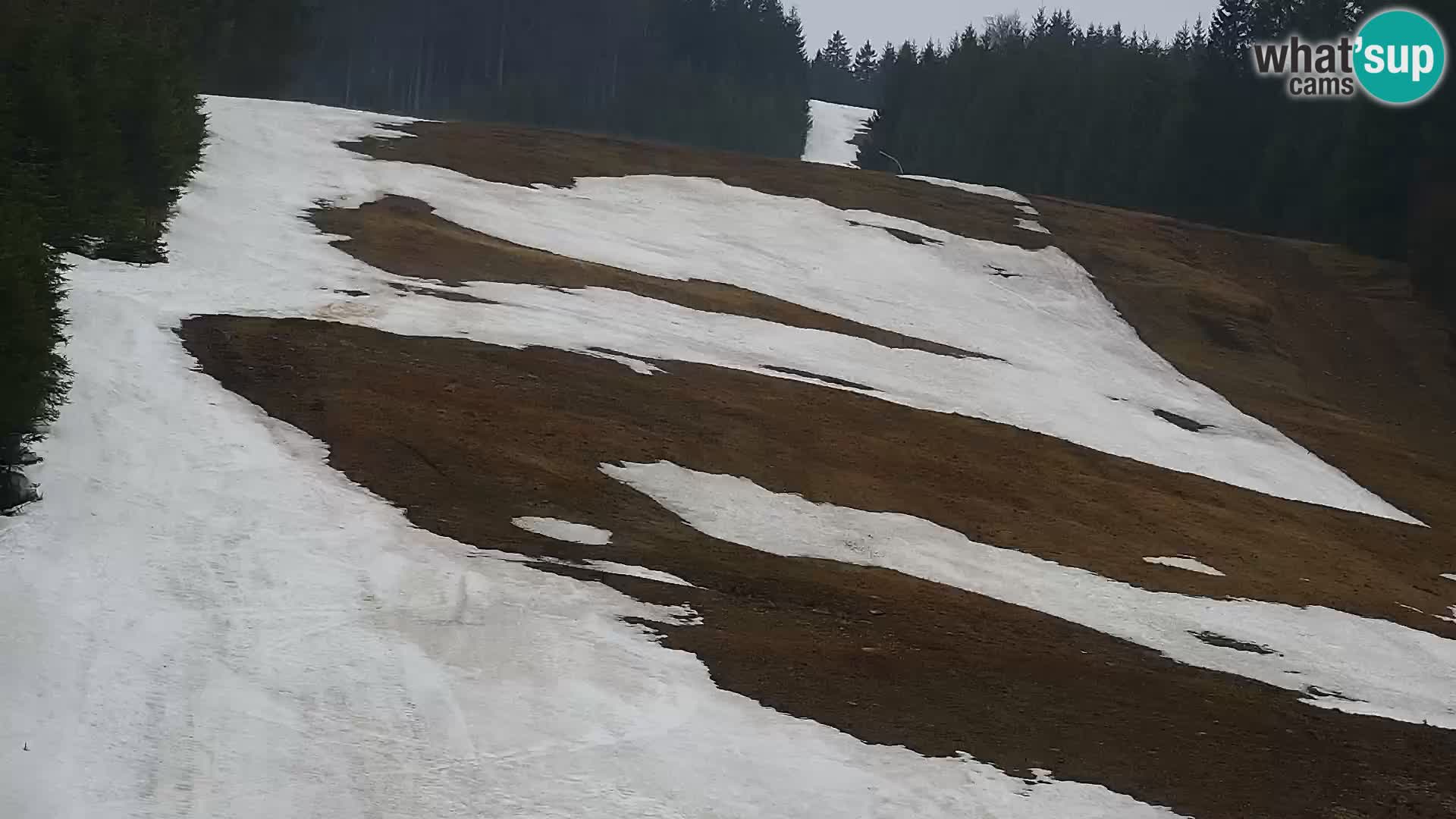 Webcam Rogla Wohnungen Dandi – Jurgovo