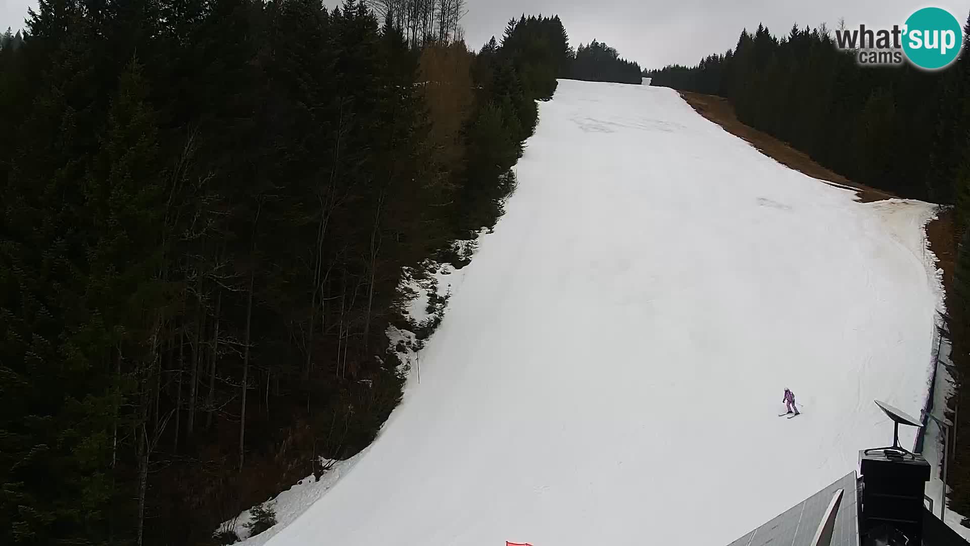 Webcam Rogla Wohnungen Dandi – Jurgovo