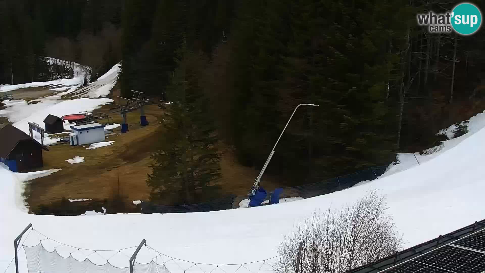 Livecam Rogla apartments Dandi – Jurgovo