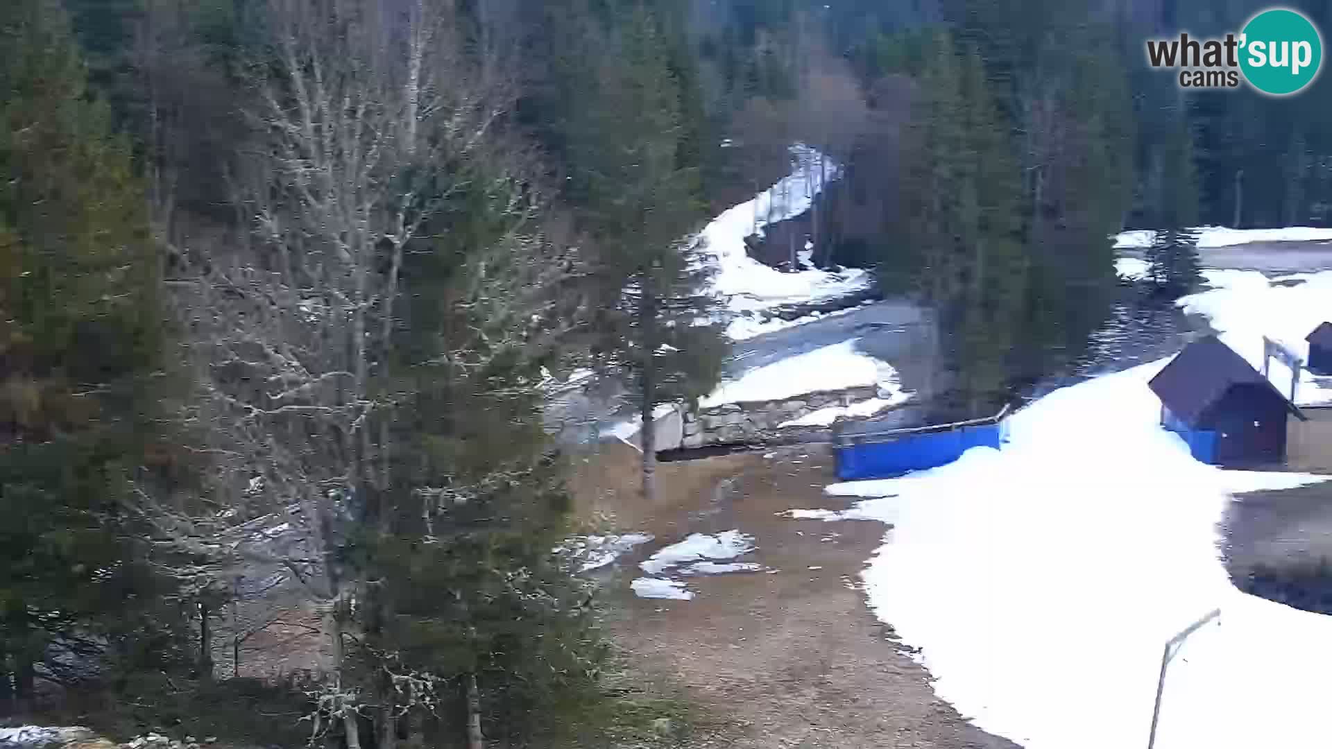 Livecam Rogla apartments Dandi – Jurgovo