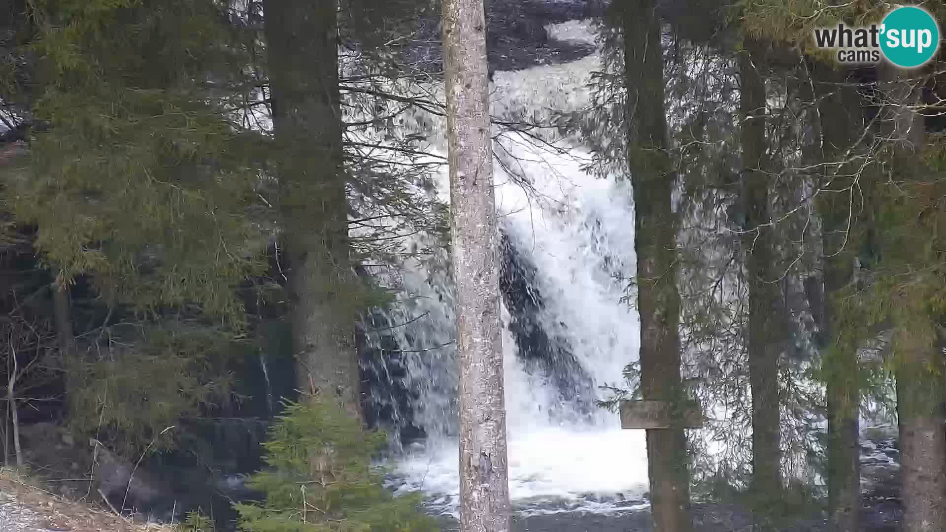 Livecam Rogla apartments Dandi – Jurgovo