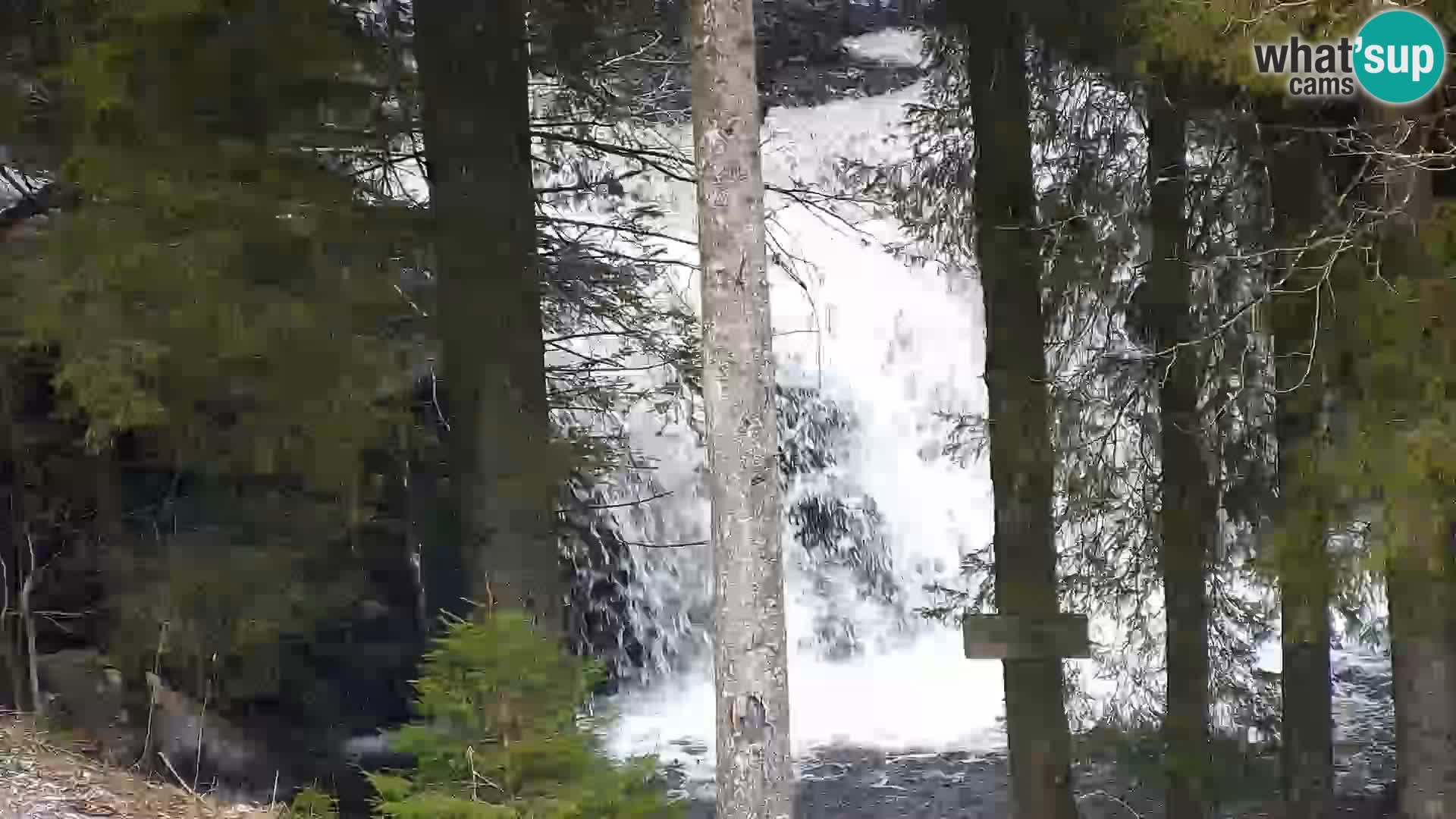 Webcam Rogla Wohnungen Dandi – Jurgovo