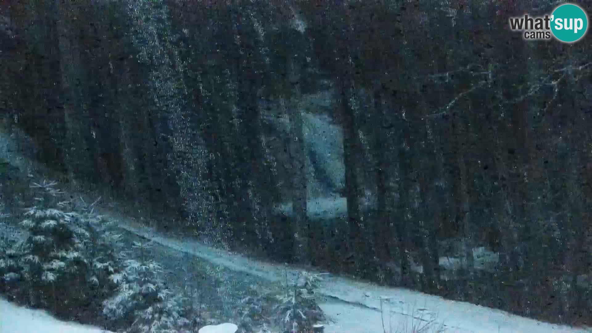 Livecam Rogla apartments Dandi – Jurgovo