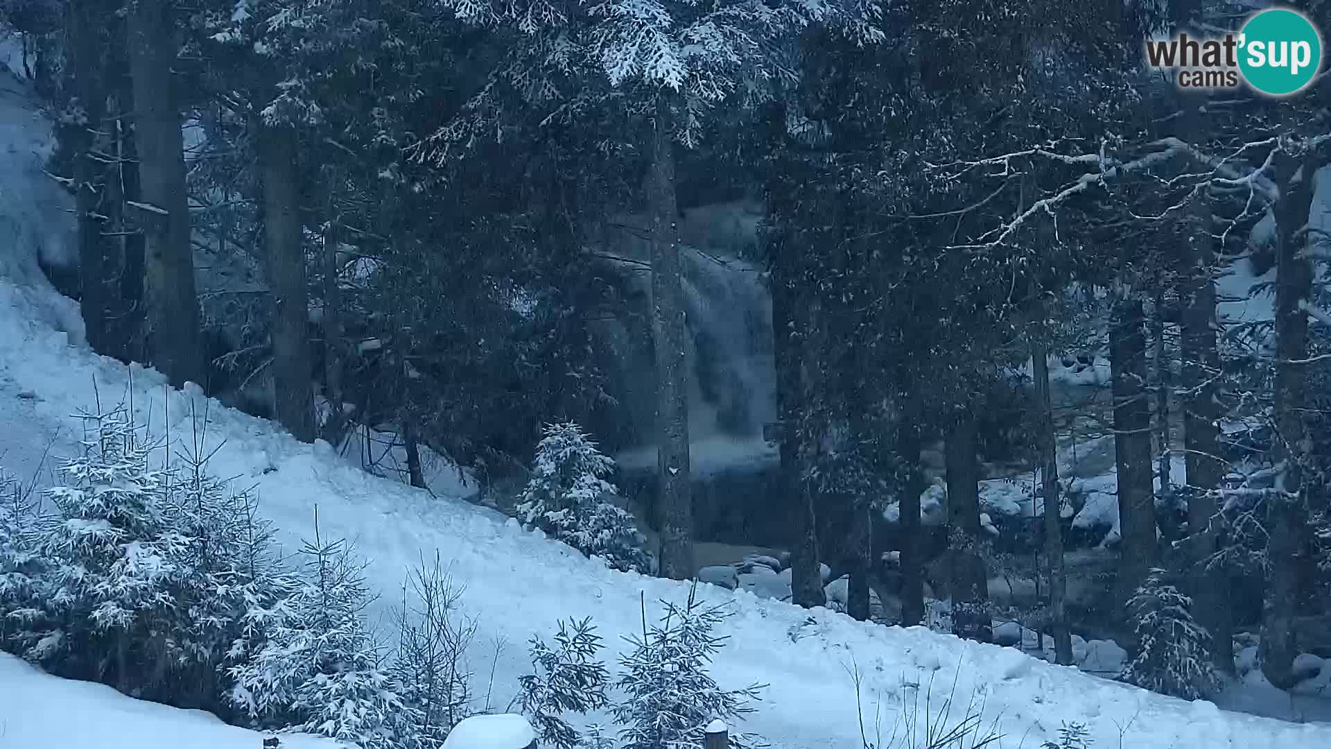 Livecam Rogla apartments Dandi – Jurgovo