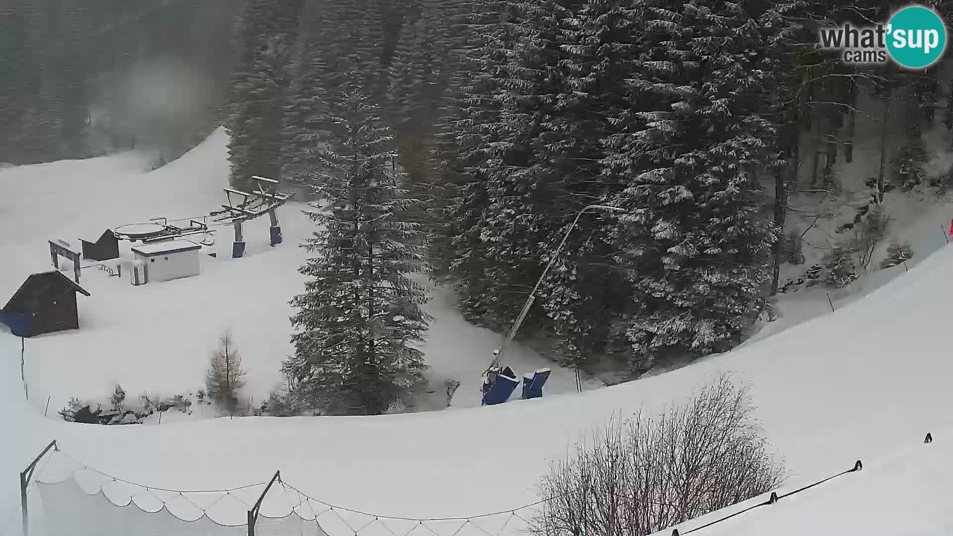 Webcam Rogla Wohnungen Dandi – Jurgovo