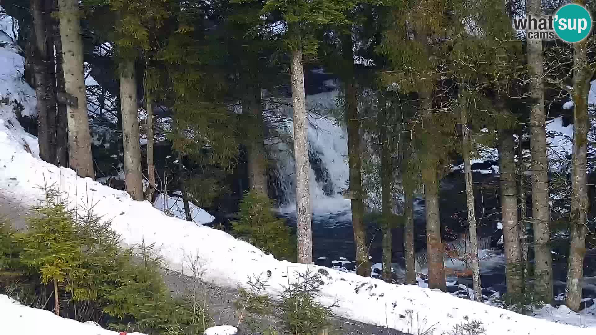 Spletna kamera Rogla apartmaji Dandi – Jurgovo