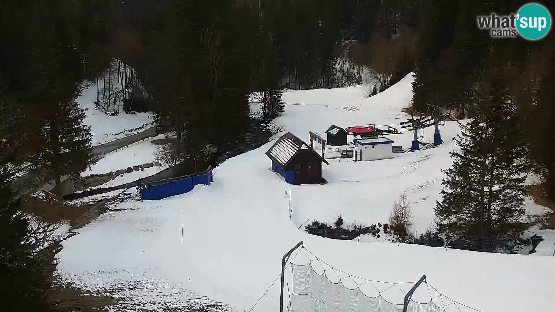 Livecam Rogla apartments Dandi – Jurgovo