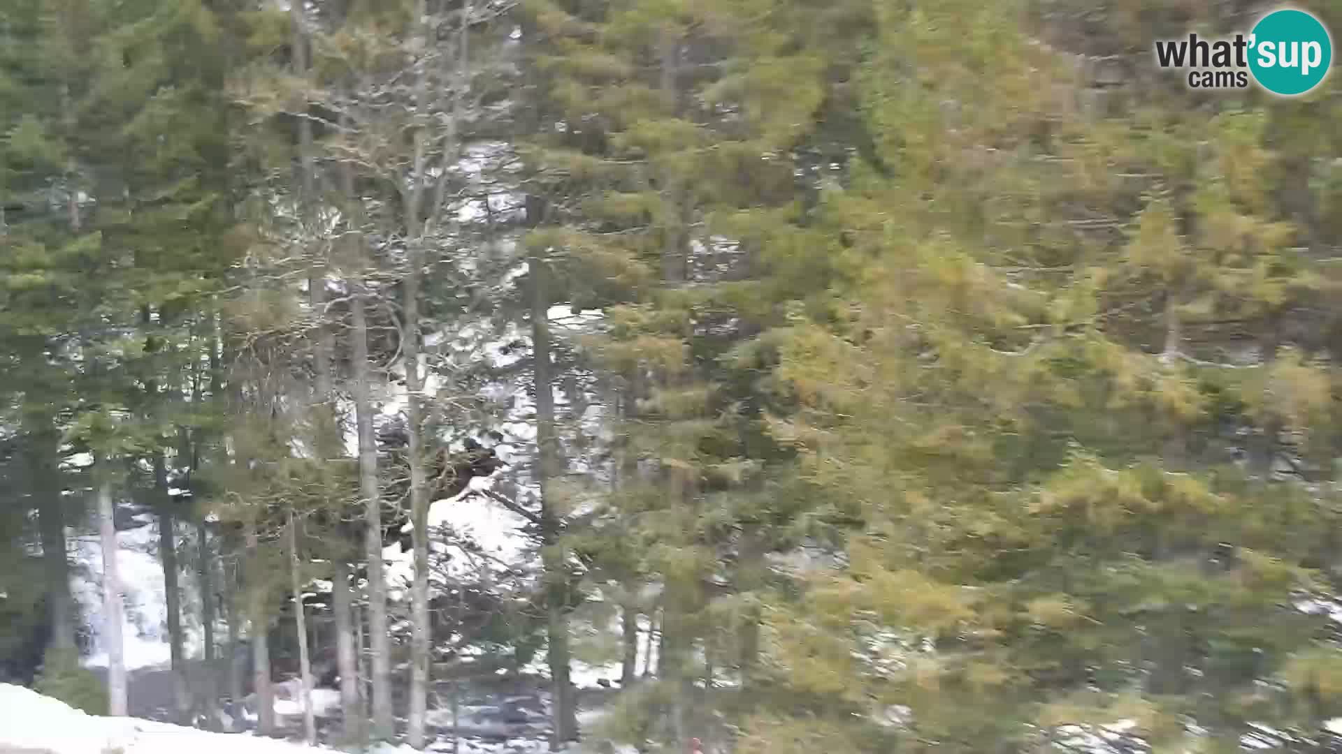 Livecam Rogla apartments Dandi – Jurgovo