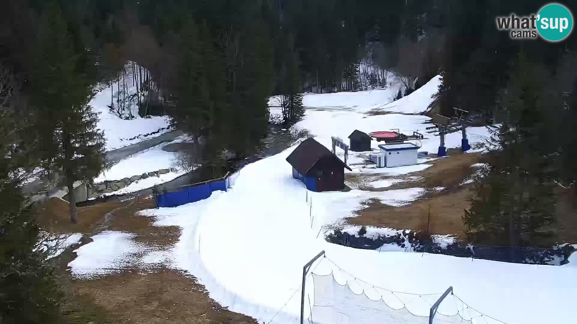 Web kamera Rogla apartmani Dandi – Jurgovo