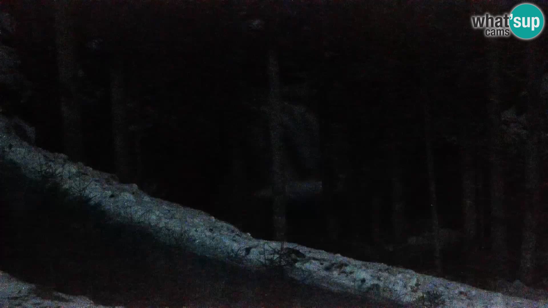 Webcam Rogla Wohnungen Dandi – Jurgovo