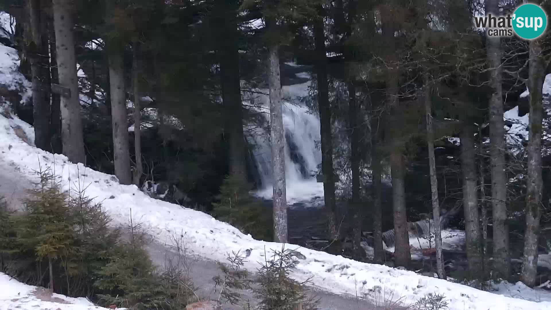 Livecam Rogla apartments Dandi – Jurgovo